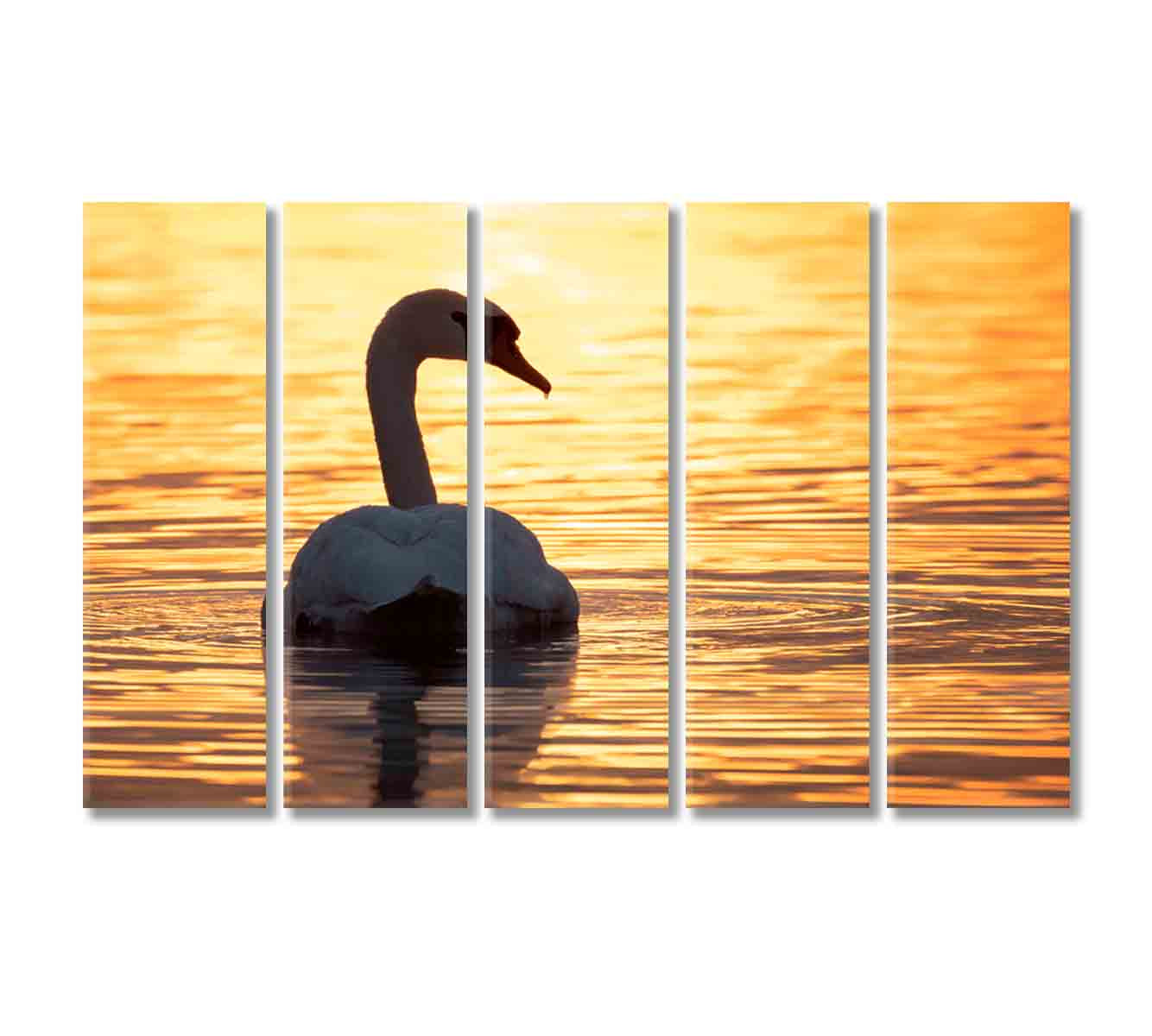 Swan on Lake at Golden Sunset Canvas Print-Canvas Print-CetArt-5 Panels-36x24 inches-CetArt