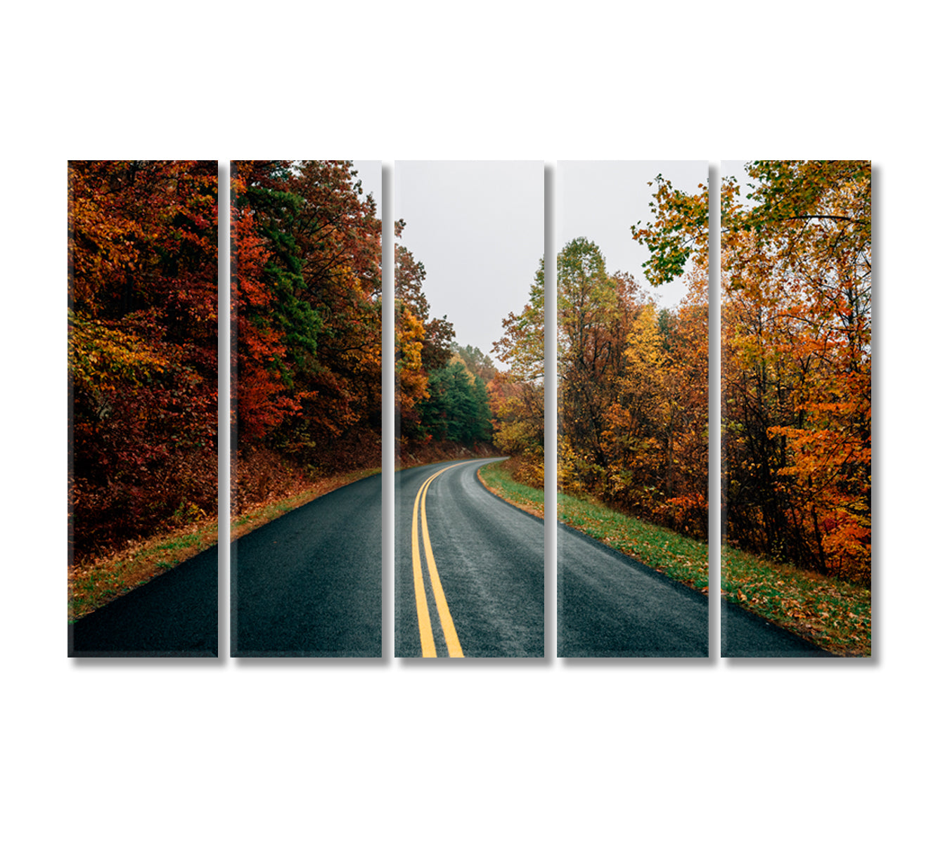 Ridge Parkway in Virginia Canvas Print-Canvas Print-CetArt-5 Panels-36x24 inches-CetArt