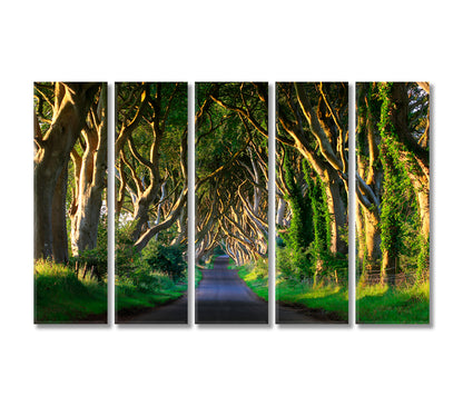 Dark Hedges Northern Ireland Canvas Print-Canvas Print-CetArt-5 Panels-36x24 inches-CetArt