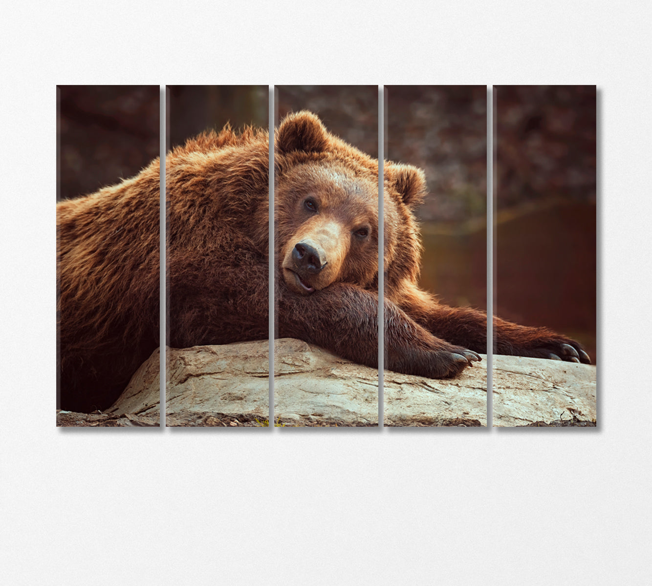 Brown Bear Canvas Print-Canvas Print-CetArt-5 Panels-36x24 inches-CetArt