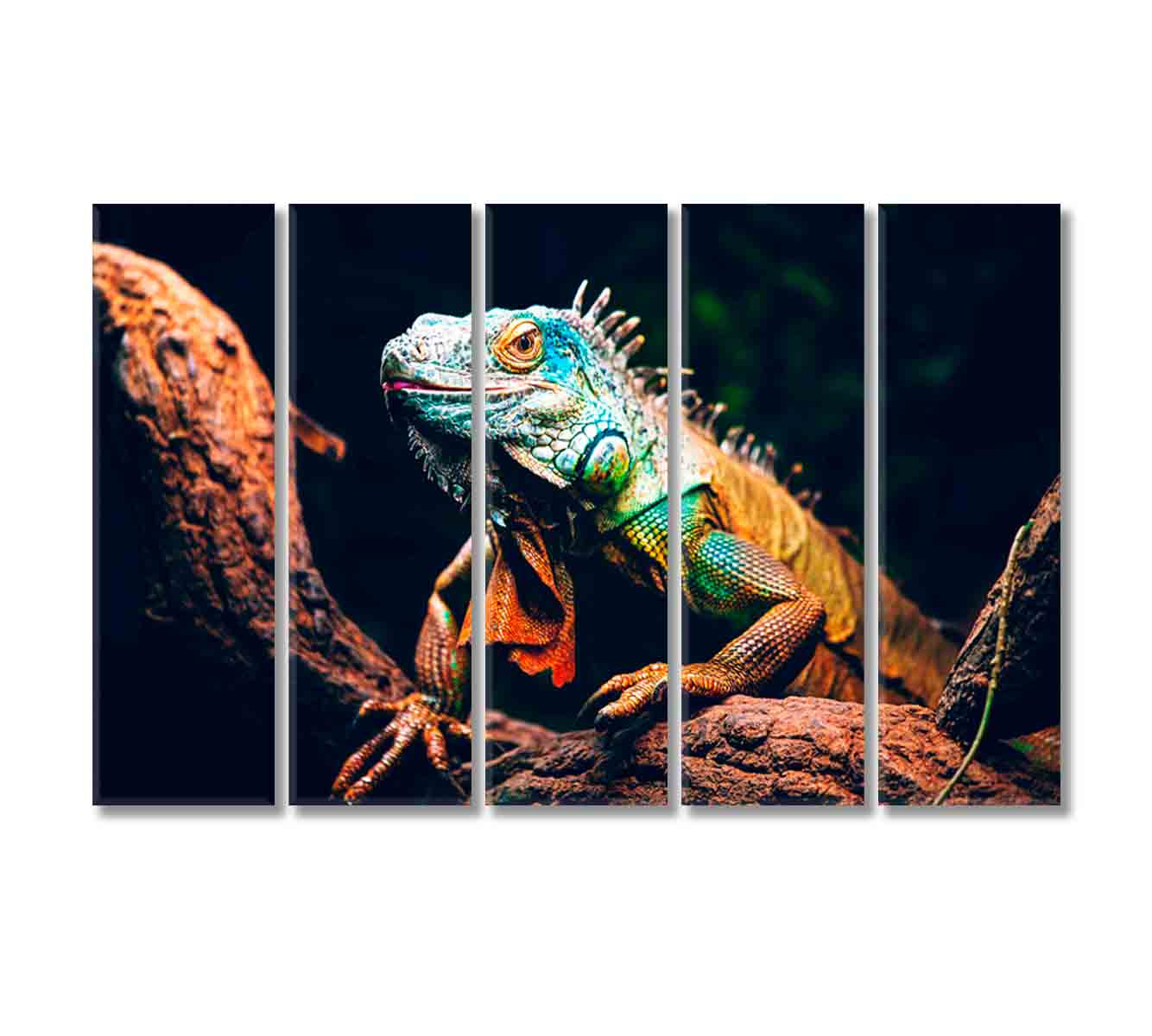 Iguana Canvas Print-Canvas Print-CetArt-5 Panels-36x24 inches-CetArt