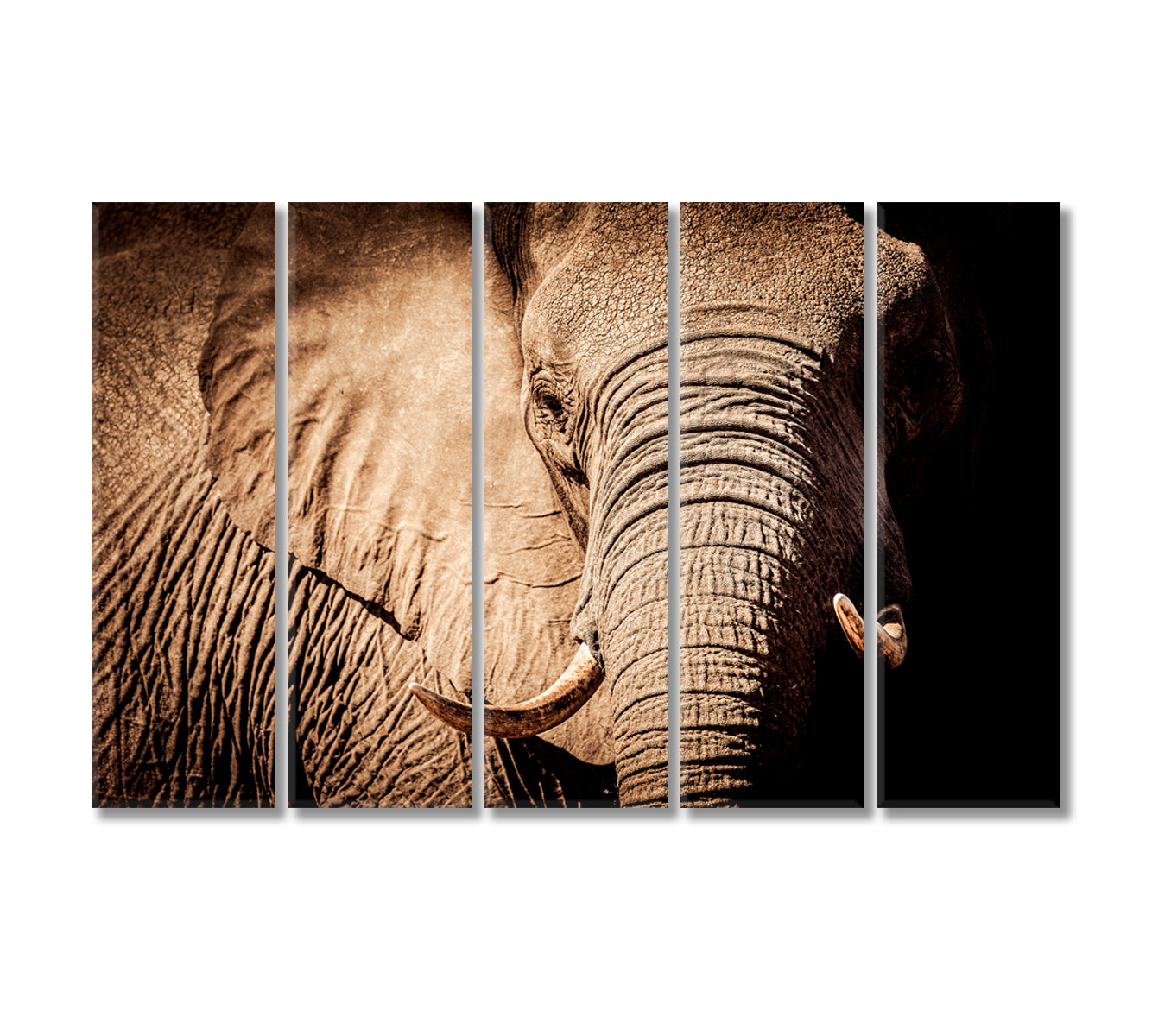 Wild African Elephant Canvas Print-Canvas Print-CetArt-5 Panels-36x24 inches-CetArt