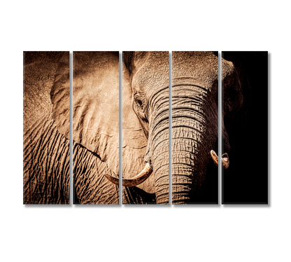 Wild African Elephant Canvas Print-Canvas Print-CetArt-5 Panels-36x24 inches-CetArt