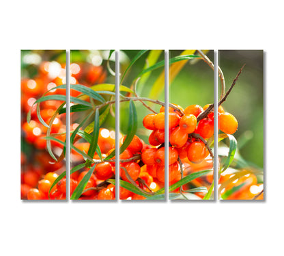 Branch of Ripe Sea Buckthorn Berries Canvas Print-Canvas Print-CetArt-5 Panels-36x24 inches-CetArt