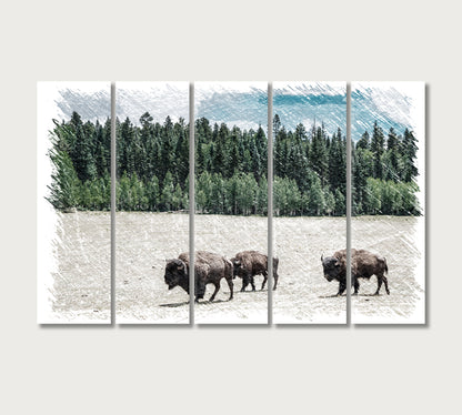 Herd of American Bison Grand Canyon National Park Arizona USA Canvas Print-Canvas Print-CetArt-5 Panels-36x24 inches-CetArt