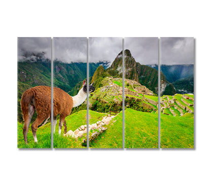 Machu Picchu Ruins of Inca Empire City Peru Canvas Print-Canvas Print-CetArt-5 Panels-36x24 inches-CetArt