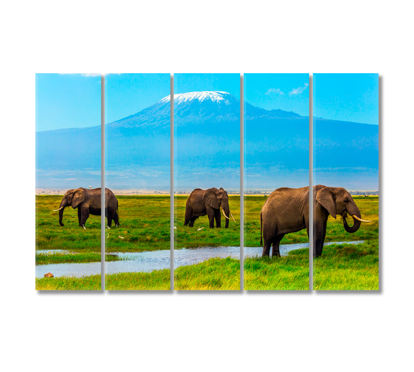 African Elephants at Mount Kilimanjaro Amboseli Reserve Kenya Canvas Print-Canvas Print-CetArt-5 Panels-36x24 inches-CetArt