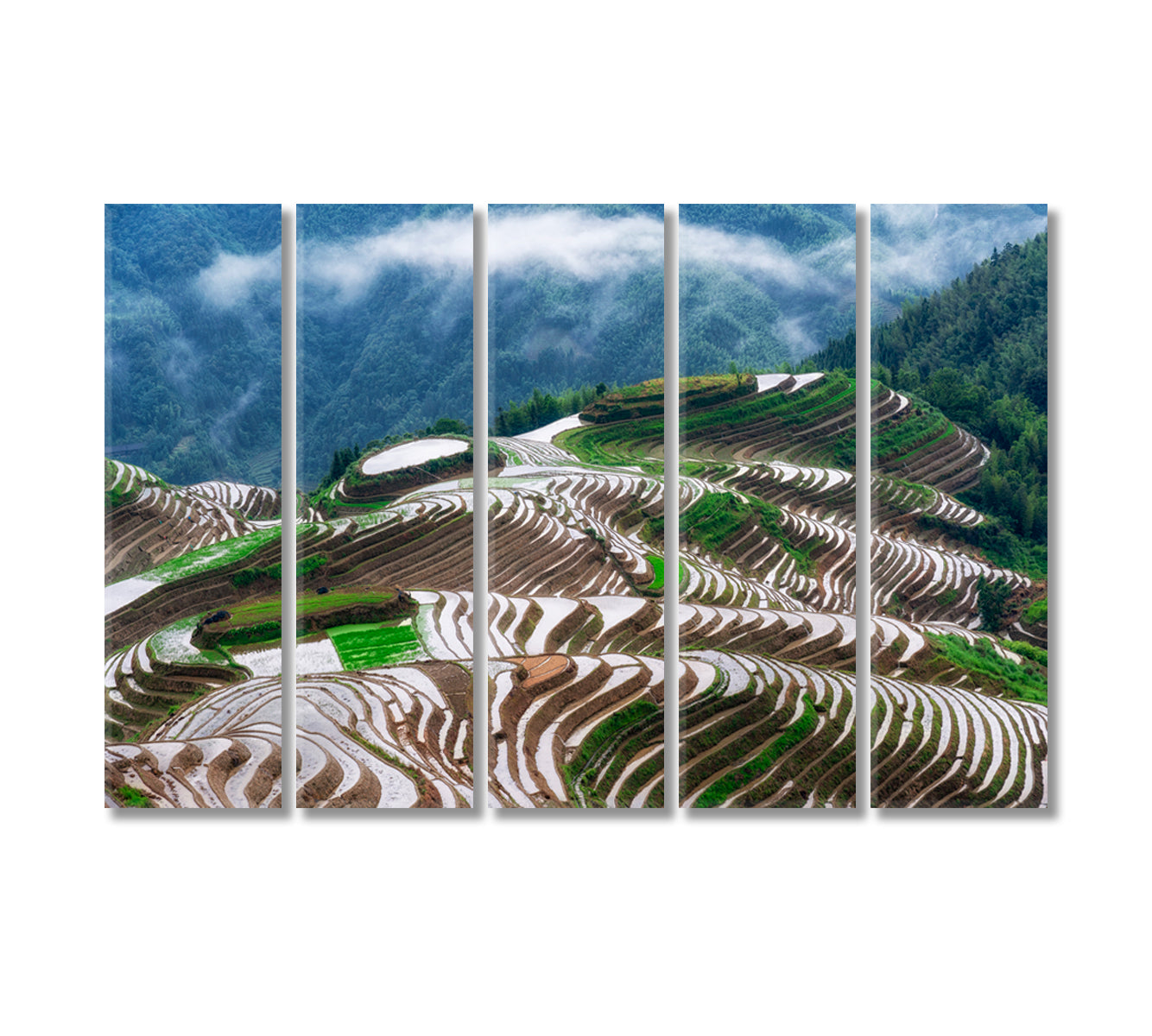 Longsheng Rice Terraces China Canvas Print-Canvas Print-CetArt-5 Panels-36x24 inches-CetArt