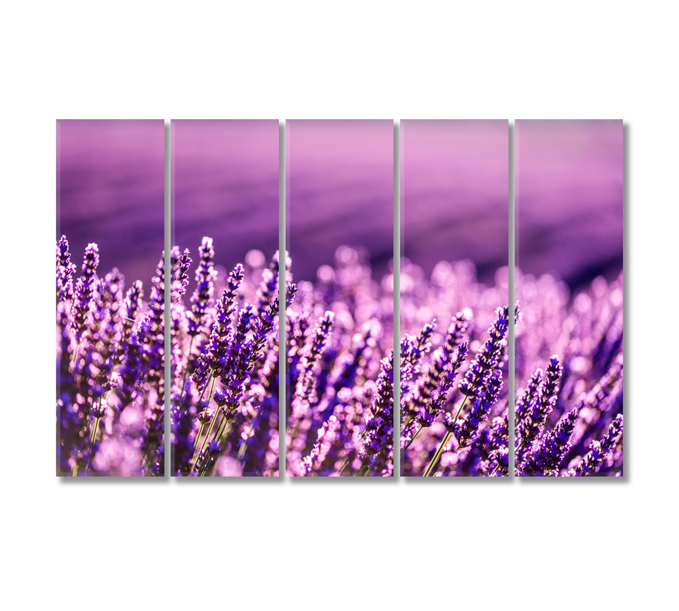 Lavender Field at Summer Provence France Canvas Print-Canvas Print-CetArt-5 Panels-36x24 inches-CetArt