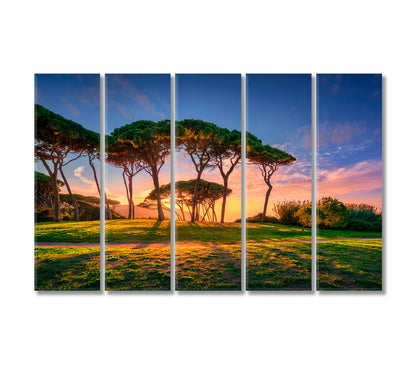 Seaside Pines at Sunset Canvas Print-Canvas Print-CetArt-5 Panels-36x24 inches-CetArt