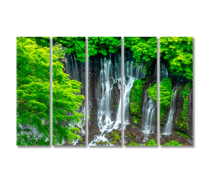 Shiraito Waterfall Japan Canvas Print-Canvas Print-CetArt-5 Panels-36x24 inches-CetArt