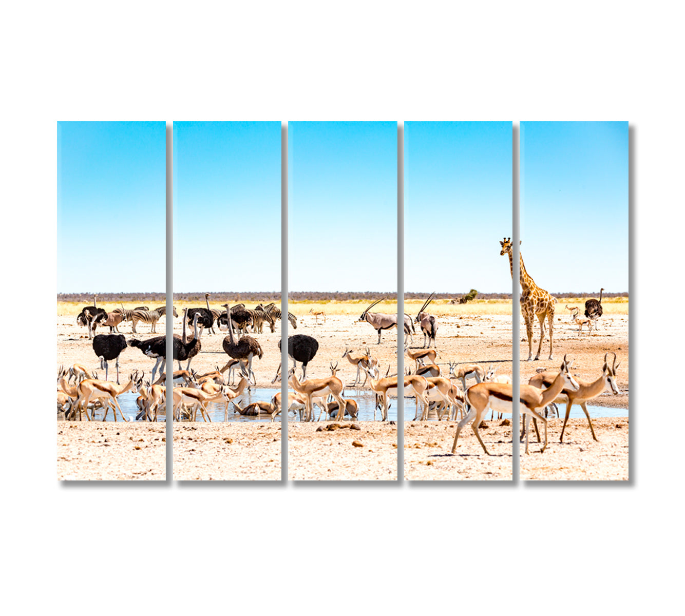 Wild Animals at Waterhole M'bari Etosha National Park Canvas Print-Canvas Print-CetArt-5 Panels-36x24 inches-CetArt