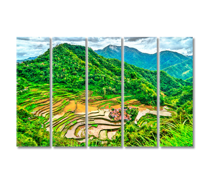 Bangaan Rice Terraces Philippines Canvas Print-Canvas Print-CetArt-5 Panels-36x24 inches-CetArt