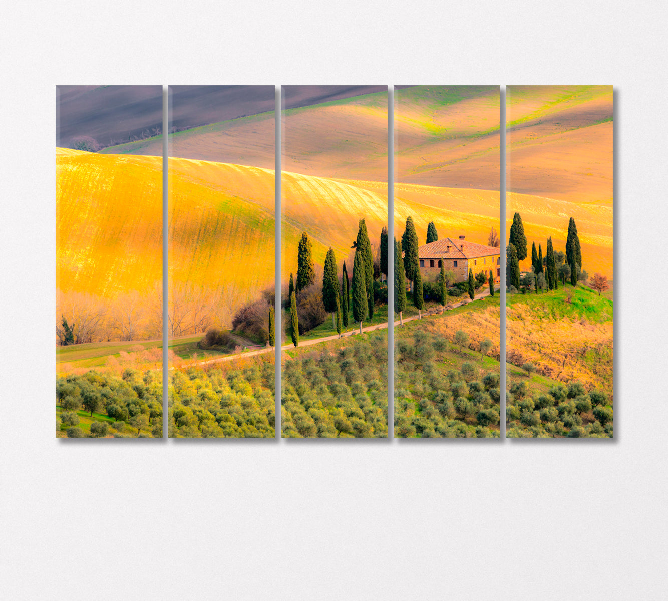 Tuscany Italy Canvas Print-Canvas Print-CetArt-5 Panels-36x24 inches-CetArt