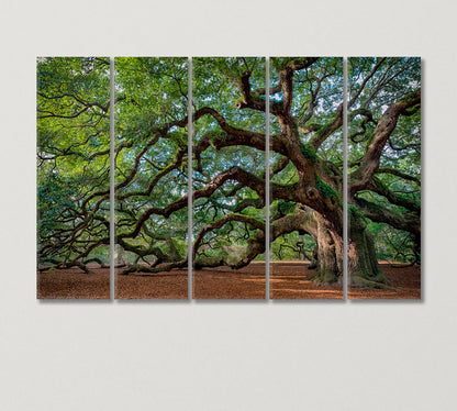 Oak Tree Canvas Print-Canvas Print-CetArt-5 Panels-36x24 inches-CetArt