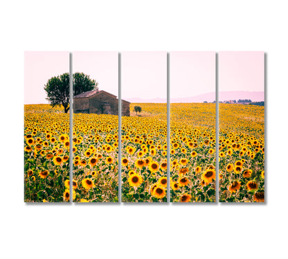 Valensole Plateau with Sunflowers Field Provence France Canvas Print-Canvas Print-CetArt-5 Panels-36x24 inches-CetArt