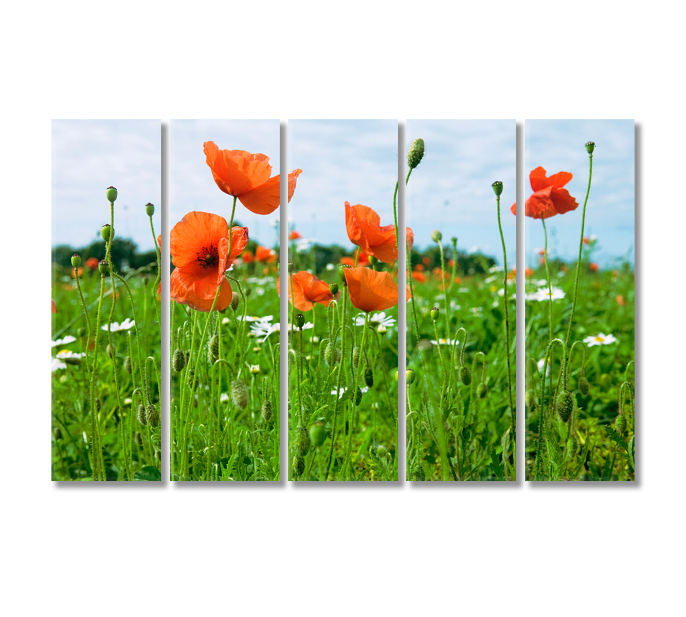 Wildflowers Canvas Print-Canvas Print-CetArt-5 Panels-36x24 inches-CetArt