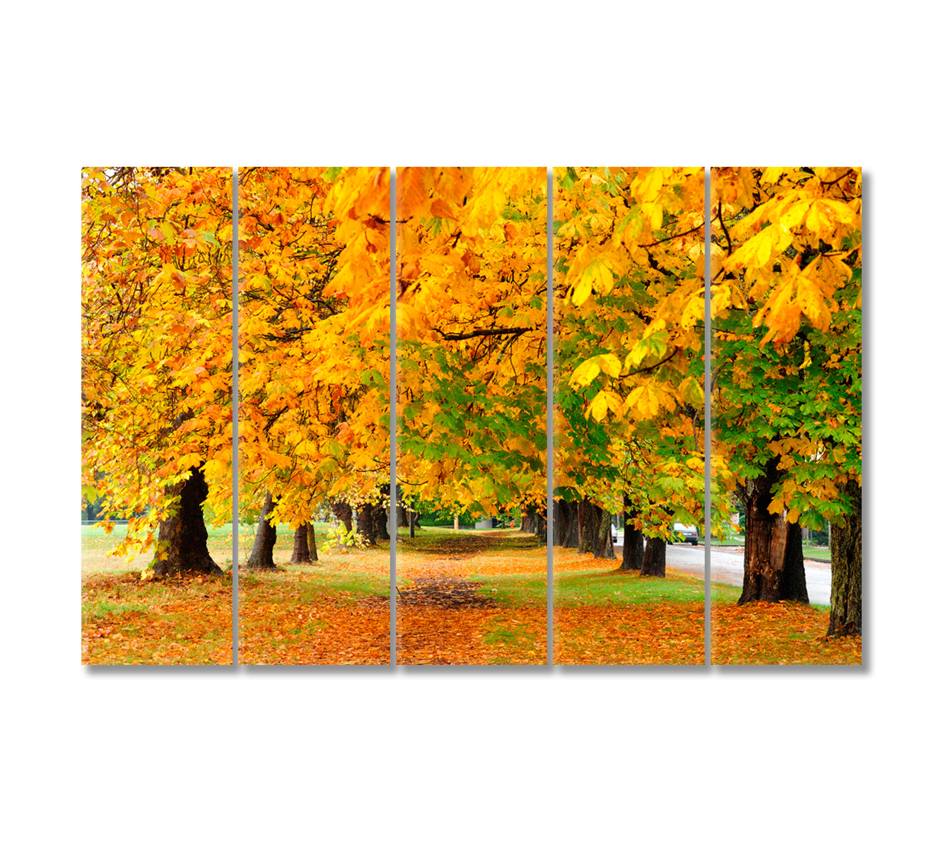 Autumn Park Canvas Print-Canvas Print-CetArt-5 Panels-36x24 inches-CetArt