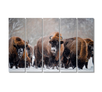 Herd of Wild Bisons in Winter Time Canvas Print-Canvas Print-CetArt-5 Panels-36x24 inches-CetArt