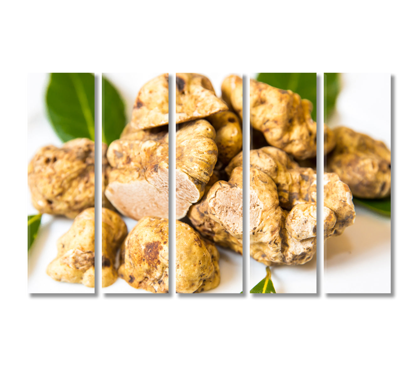 White Truffles Canvas Print-Canvas Print-CetArt-5 Panels-36x24 inches-CetArt