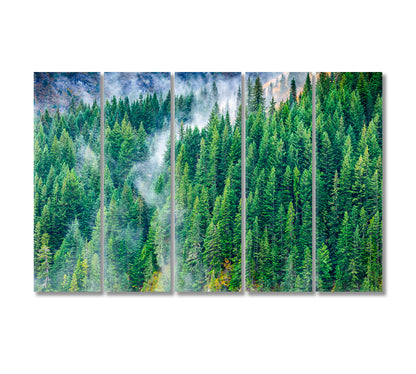 Pine Woods Covered by Fog Canvas Print-Canvas Print-CetArt-5 Panels-36x24 inches-CetArt