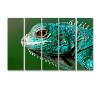 Wild Iguana Close Up Canvas Print-Canvas Print-CetArt-5 Panels-36x24 inches-CetArt