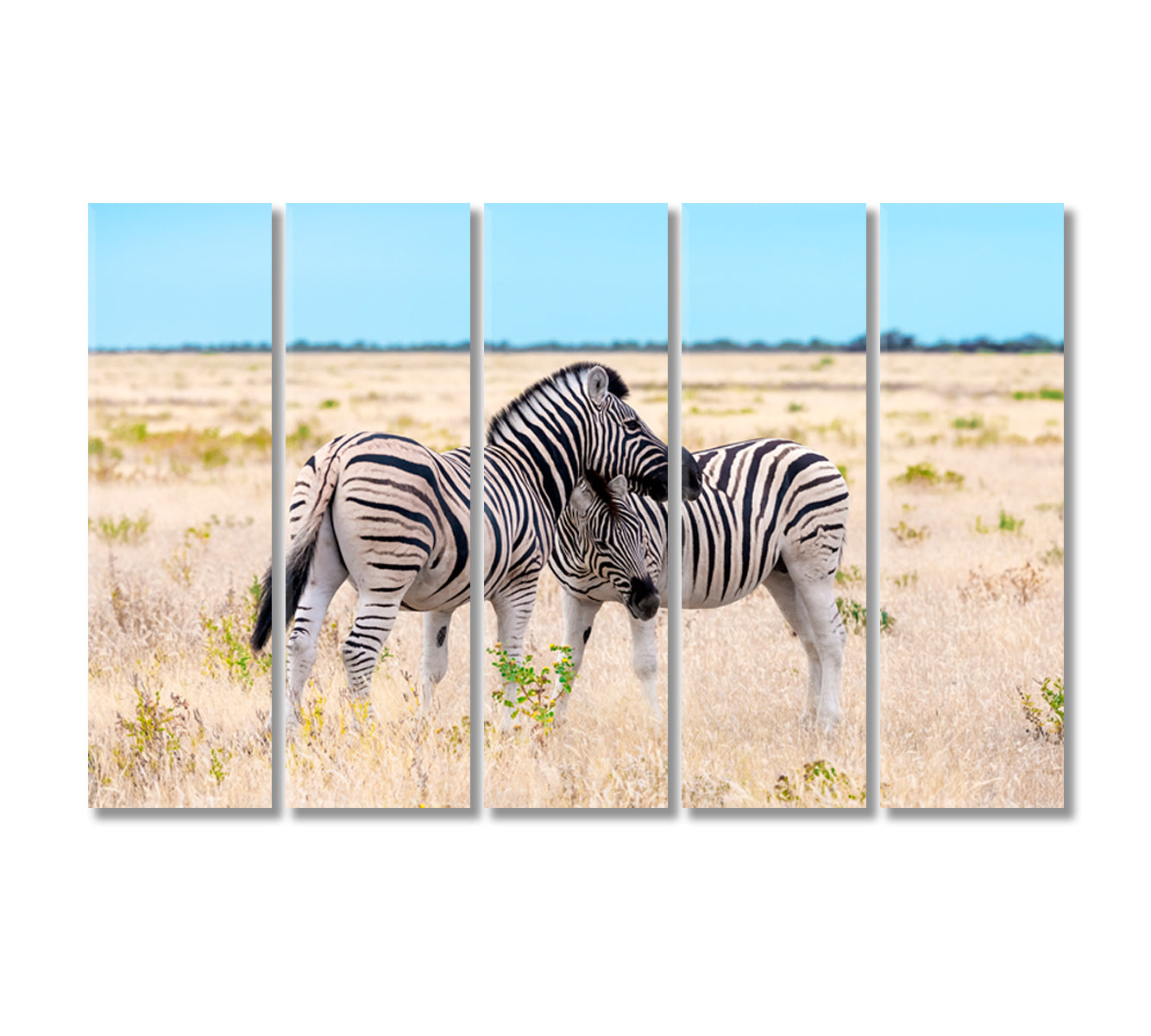 Family of African Zebras Canvas Print-Canvas Print-CetArt-5 Panels-36x24 inches-CetArt