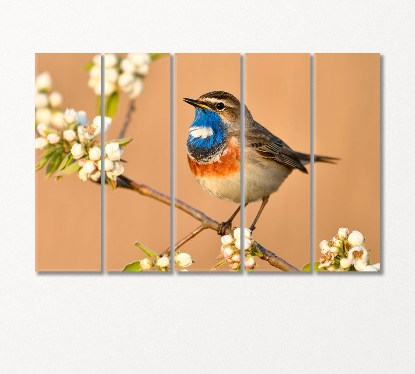 Bluethroat Bird on Cherry Blossom Branch Canvas Print-Canvas Print-CetArt-5 Panels-36x24 inches-CetArt