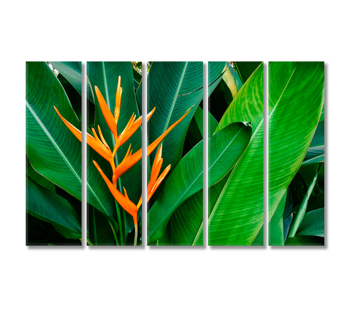 Strelitzia Bird Of Paradise Flower Canvas Print-Canvas Print-CetArt-1 Panel-24x16 inches-CetArt