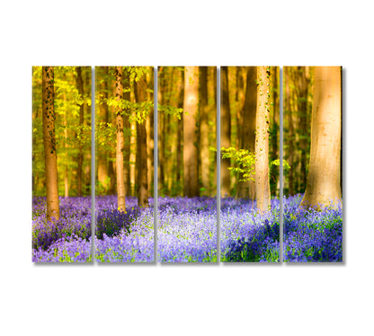 Hallerbos Beech Forest with Bluebells Flowers Canvas Print-Canvas Print-CetArt-5 Panels-36x24 inches-CetArt