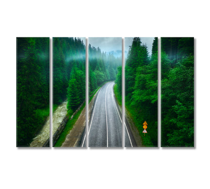 Road in Lovely Green Forest Carpathian Mountains Canvas Print-Canvas Print-CetArt-5 Panels-36x24 inches-CetArt