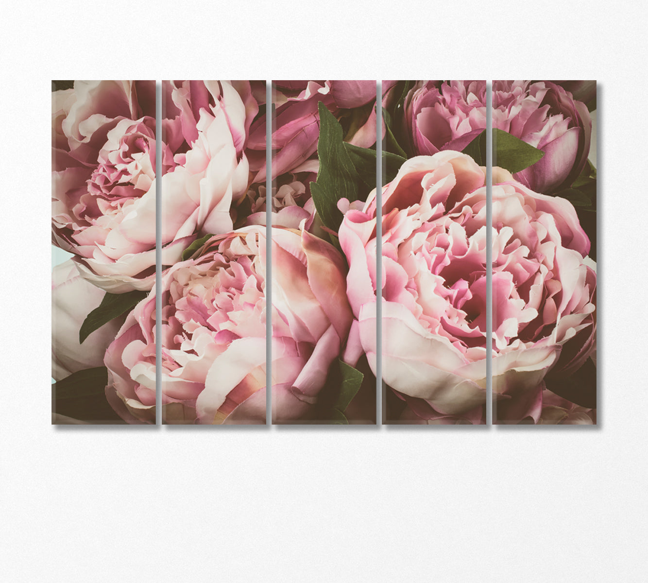 Delicate Peonies Canvas Print-Canvas Print-CetArt-5 Panels-36x24 inches-CetArt