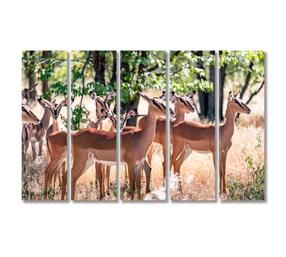 Herd of Impala in Forest Etosha National Park Namibia Africa Canvas Print-Canvas Print-CetArt-5 Panels-36x24 inches-CetArt