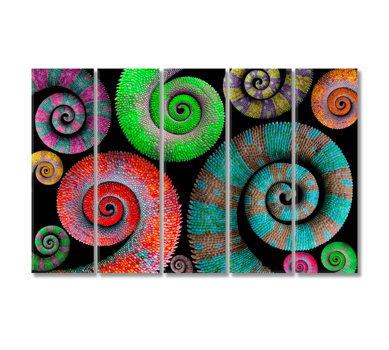 Colorful Chameleon Tails Canvas Print-Canvas Print-CetArt-5 Panels-36x24 inches-CetArt