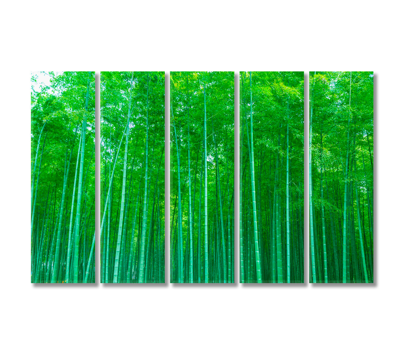 Dense Bamboo Forest Canvas Print-Canvas Print-CetArt-5 Panels-36x24 inches-CetArt