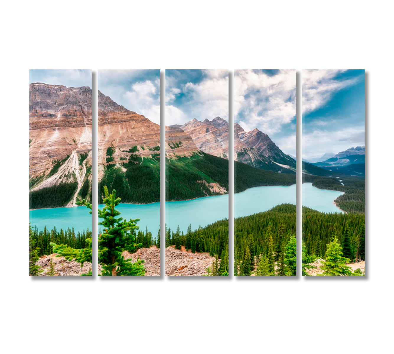 Lake Peyto in Rocky Mountains of Canada Canvas Print-Canvas Print-CetArt-5 Panels-36x24 inches-CetArt