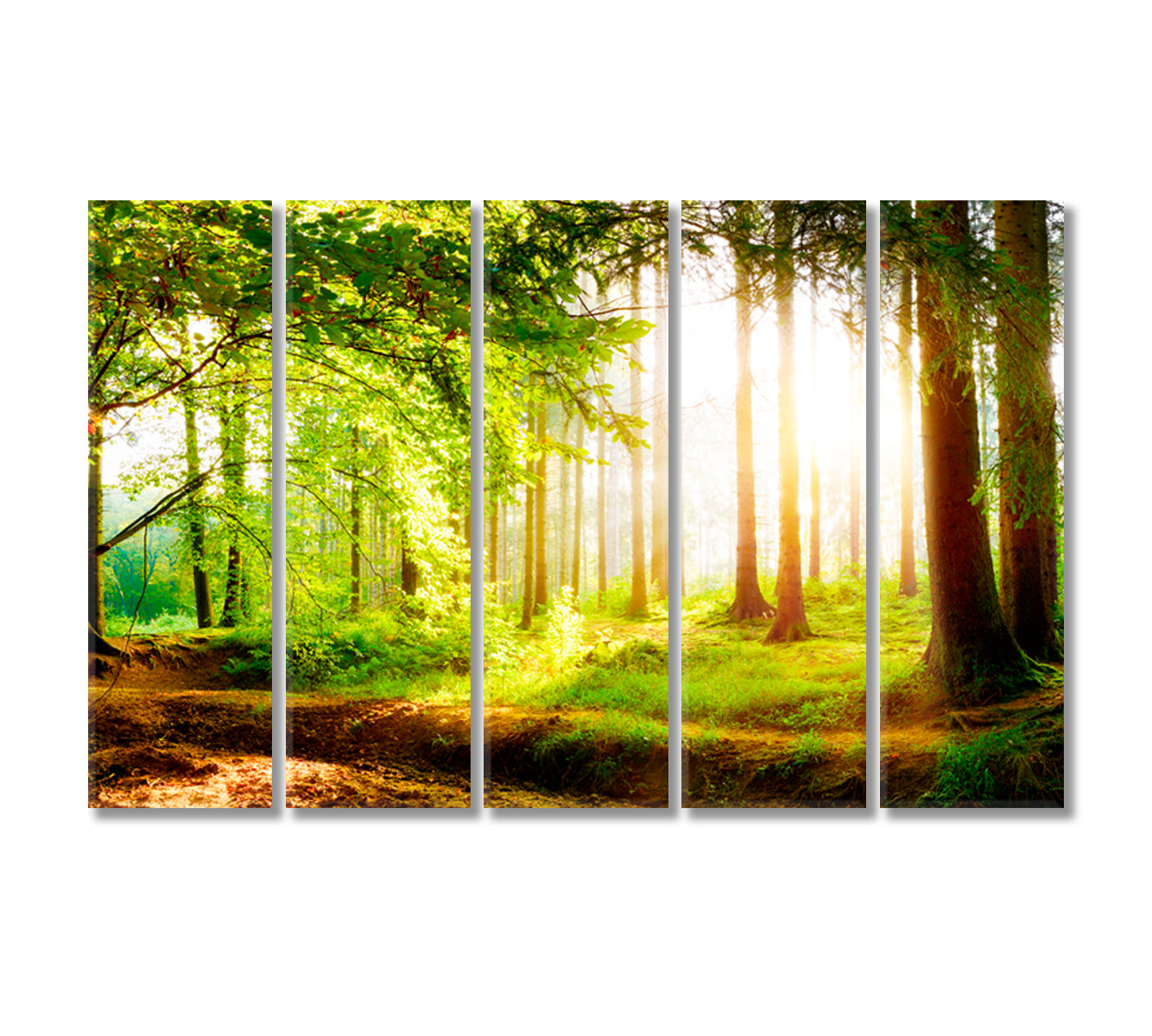 Beautiful Forest with Sunlight in Fog Canvas Print-Canvas Print-CetArt-5 Panels-36x24 inches-CetArt