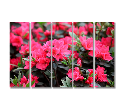 Azaleas Flowers Blooming in Spring Canvas Print-Canvas Print-CetArt-5 Panels-36x24 inches-CetArt