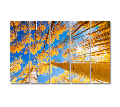 Aspen Forest in Autumn Canvas Print-Canvas Print-CetArt-5 Panels-36x24 inches-CetArt