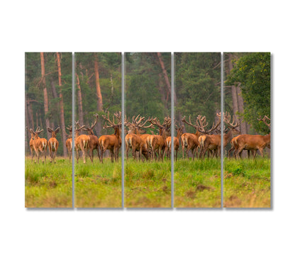 Group of Red Deers in Forest Canvas Print-Canvas Print-CetArt-5 Panels-36x24 inches-CetArt