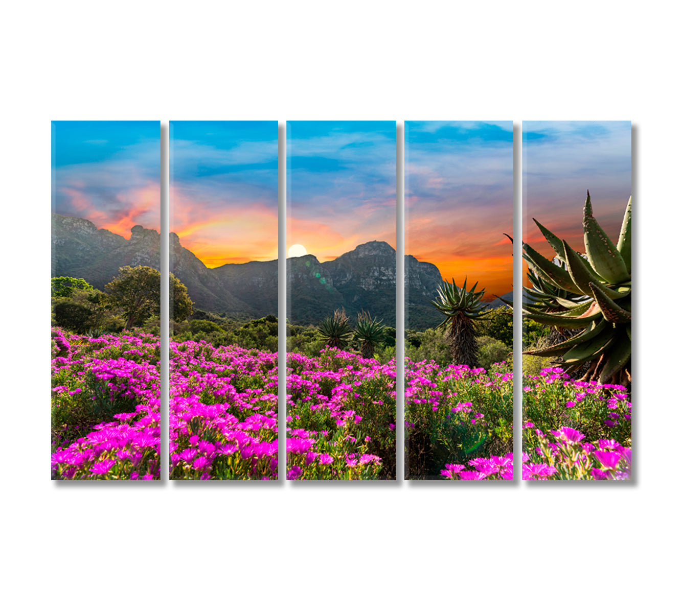 Kirstenbosch National Botanical Garden Cape Town South Africa Canvas Print-Canvas Print-CetArt-5 Panels-36x24 inches-CetArt