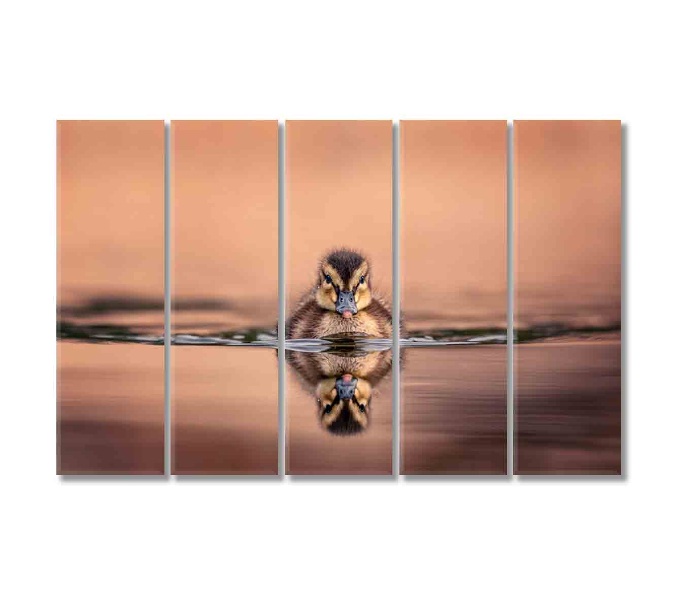 Amazing View Cute Duckling On Lake Canvas Print-Canvas Print-CetArt-5 Panels-36x24 inches-CetArt