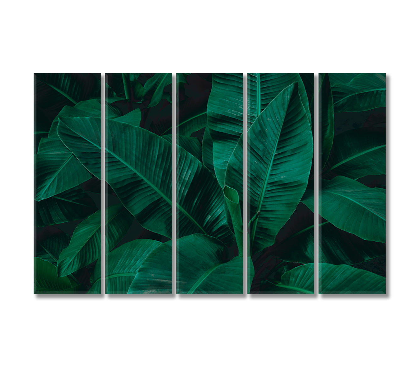 Abstract Tropical Banana Leaf Canvas Print-Canvas Print-CetArt-5 Panels-36x24 inches-CetArt