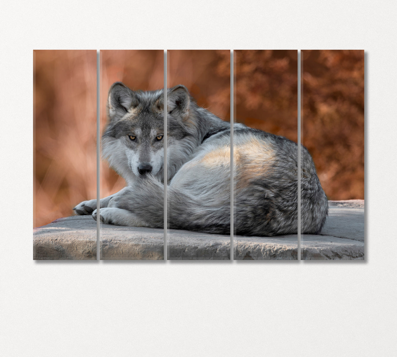 Mexican Gray Wolf Canvas Print-Canvas Print-CetArt-5 Panels-36x24 inches-CetArt