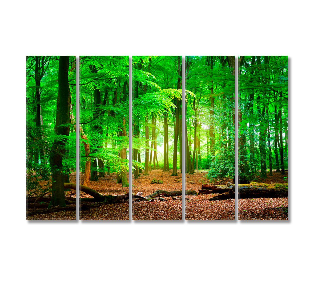 Mysterious Green Forest Veluwe Netherlands Canvas Print-Canvas Print-CetArt-5 Panels-36x24 inches-CetArt