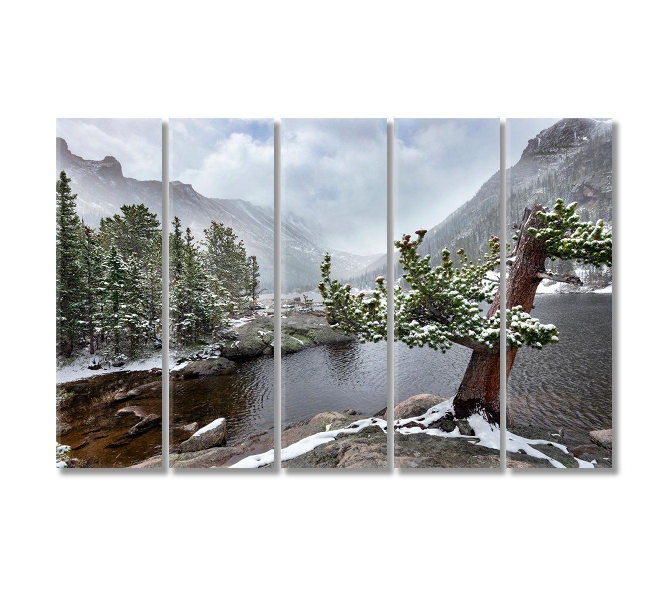 Alpine Mills Lake in Rocky Mountain National Park Colorado Canvas Print-Canvas Print-CetArt-5 Panels-36x24 inches-CetArt