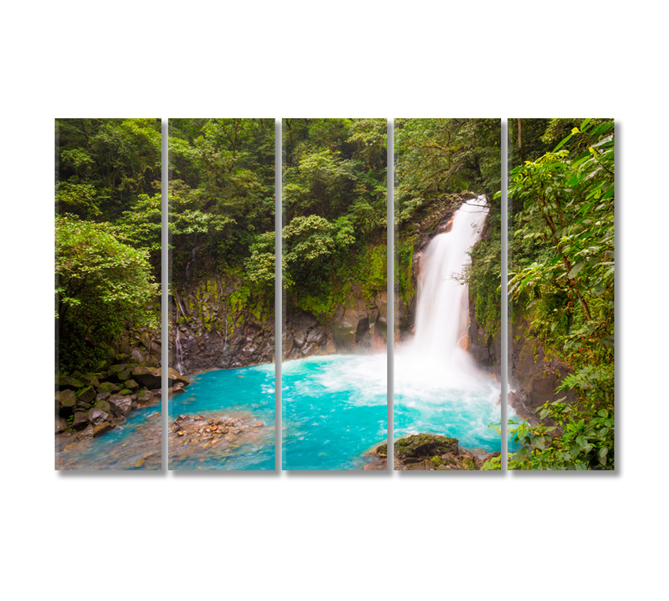 Tenorio Volcano National Park Costa Rica Canvas Print-Canvas Print-CetArt-5 Panels-36x24 inches-CetArt