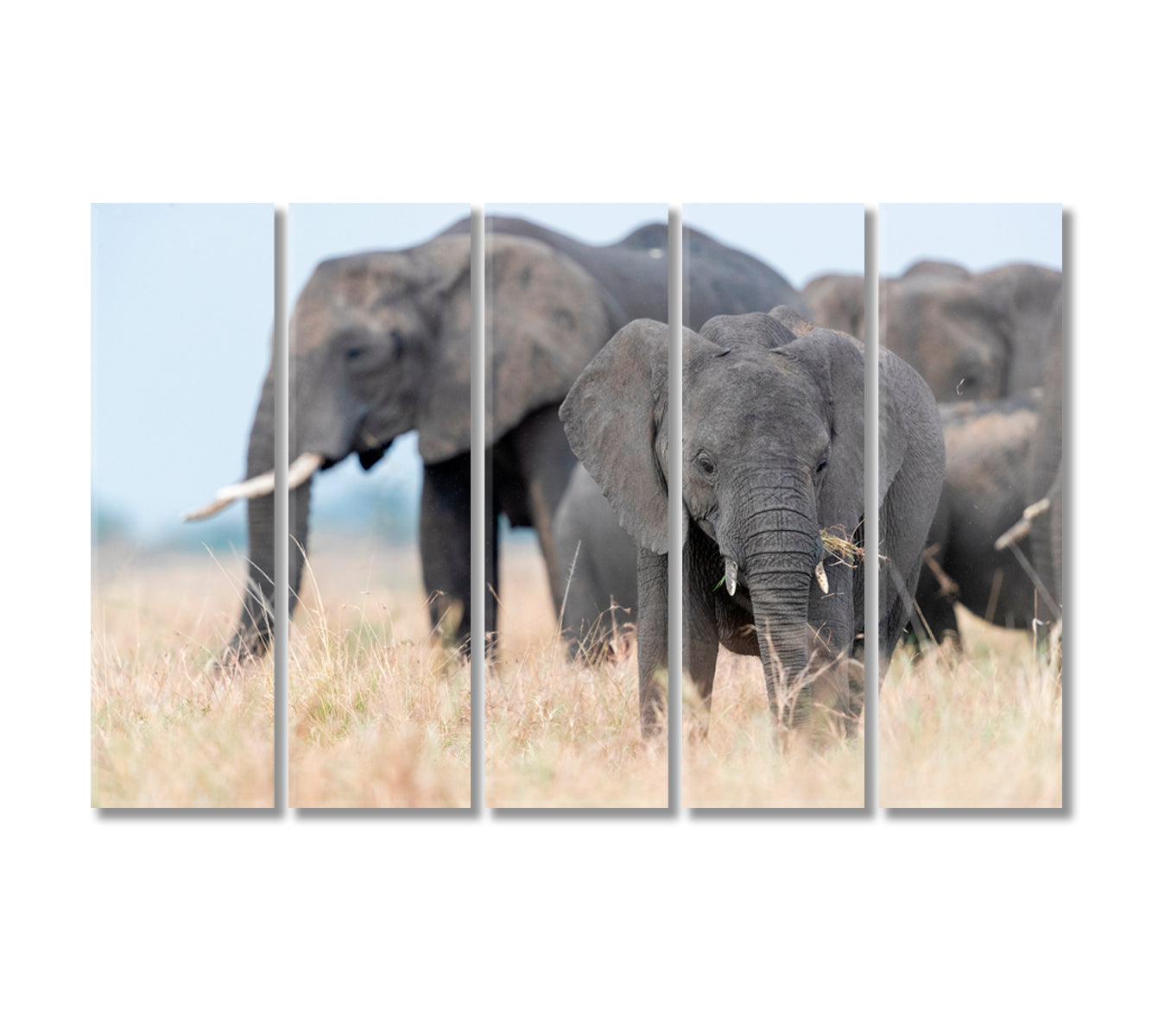 Elephant Family in Africa Canvas Print-Canvas Print-CetArt-5 Panels-36x24 inches-CetArt