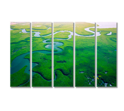 Gambia Mangroves Forest Canvas Print-Canvas Print-CetArt-5 Panels-36x24 inches-CetArt