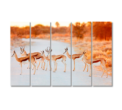 Springbok Herd in Etosha National Park Namibia Canvas Print-Canvas Print-CetArt-5 Panels-36x24 inches-CetArt